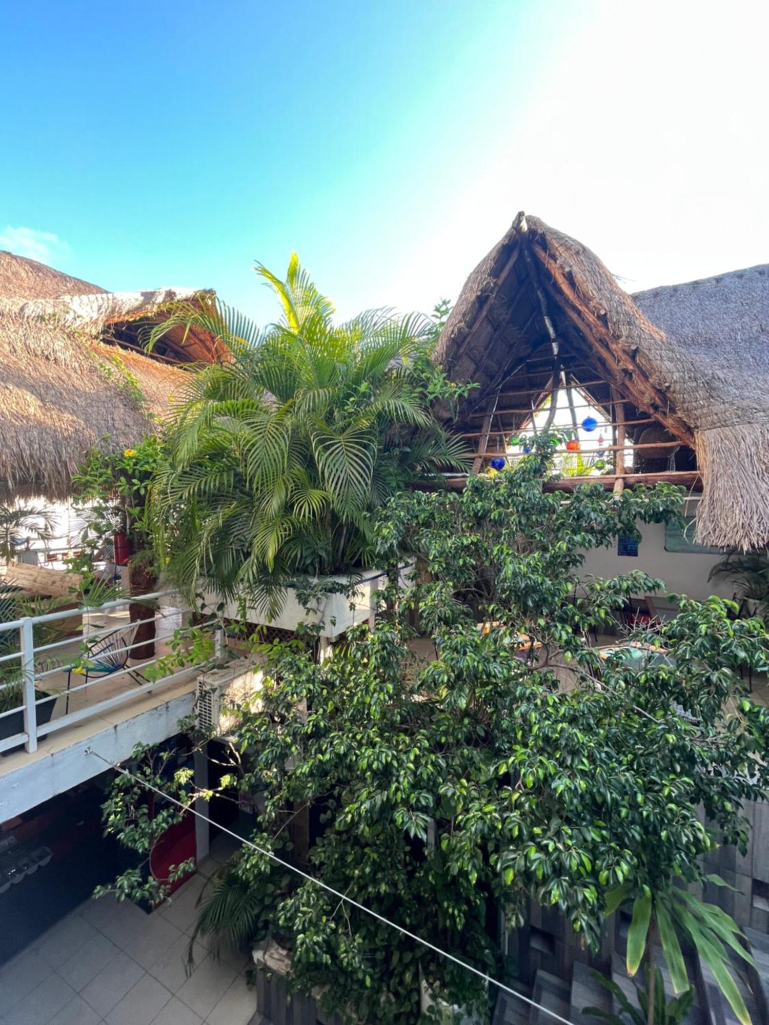 Hostelito Hotel Cozumel Kültér fotó